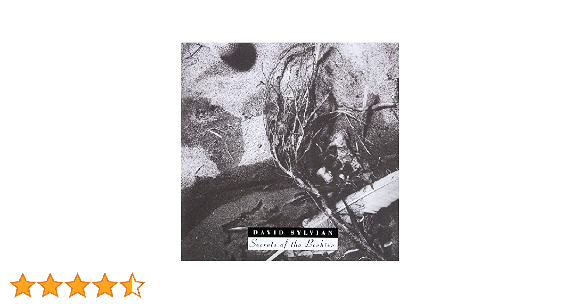洋楽 DAVID SYLVIAN - SECRETS OF THE BEEHIVE davidsylvian.com } David Sylvian - 